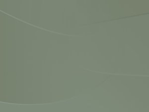 高防DNS域名解析供应商管理指南